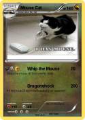 Mouse Cat