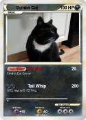 Symba Cat
