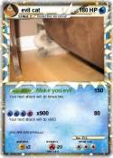 evil cat