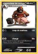 chauvocheur de