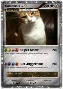 Catasorus