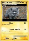 Soul Cat