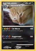 Soul Cat