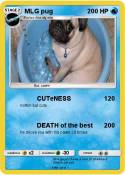 MLG pug