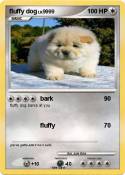 fluffy dog
