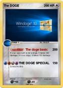The DOGE