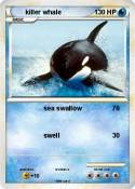 killer whale