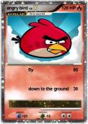 angry bird