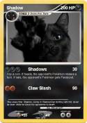 Shadow