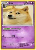 Doge