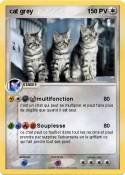 cat grey