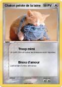 Chaton pelote