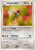 Harmless Bird