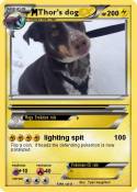 Thor's dog