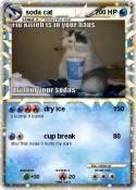 soda cat