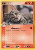 chat