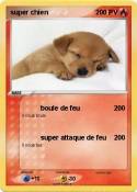 super chien