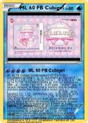 ML 60 FB Cubige