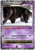 Etoile De Nuit
