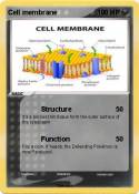 Cell membrane