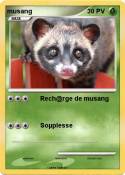 musang