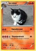 fire kitten