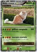 étoile-rousse