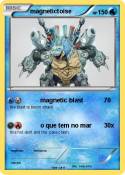 magnetictoise