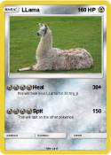 LLama