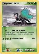 Dragon de plant