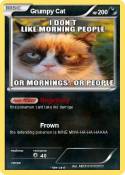 Grumpy Cat