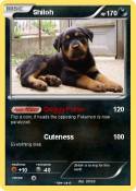 Shiloh