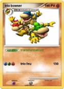 trio bowser