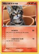kitty cat in a