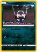 Tug the pug
