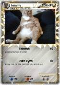 tommy