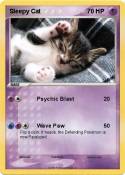Sleepy Cat