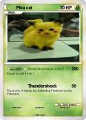 Pika cat