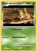 berger allemand