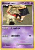 irish wolfhound