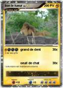 lion le tueur