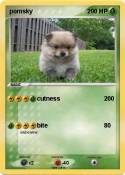 pomsky