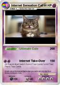 Internet Sensat