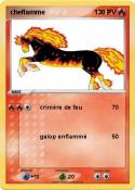 cheflamme