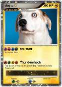 dog