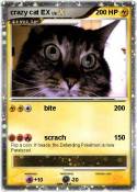 crazy cat EX
