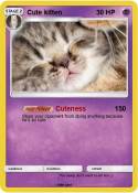 Cute kitten