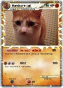 Hardcore cat