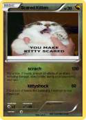 Scared Kitten
