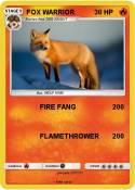 FOX WARRIOR